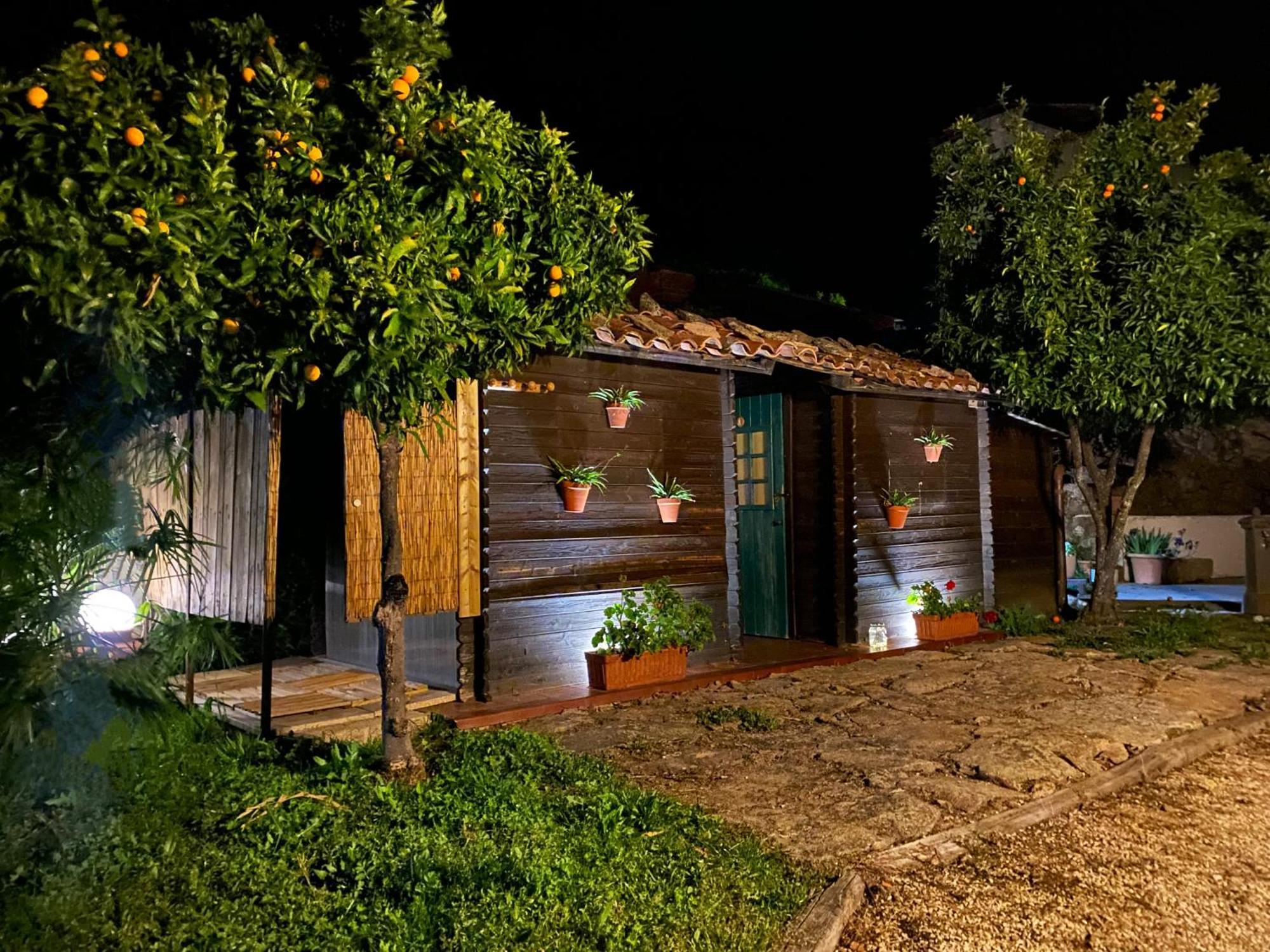 Apartamento Rural Se De Un Lugar エル・トルノ エクステリア 写真